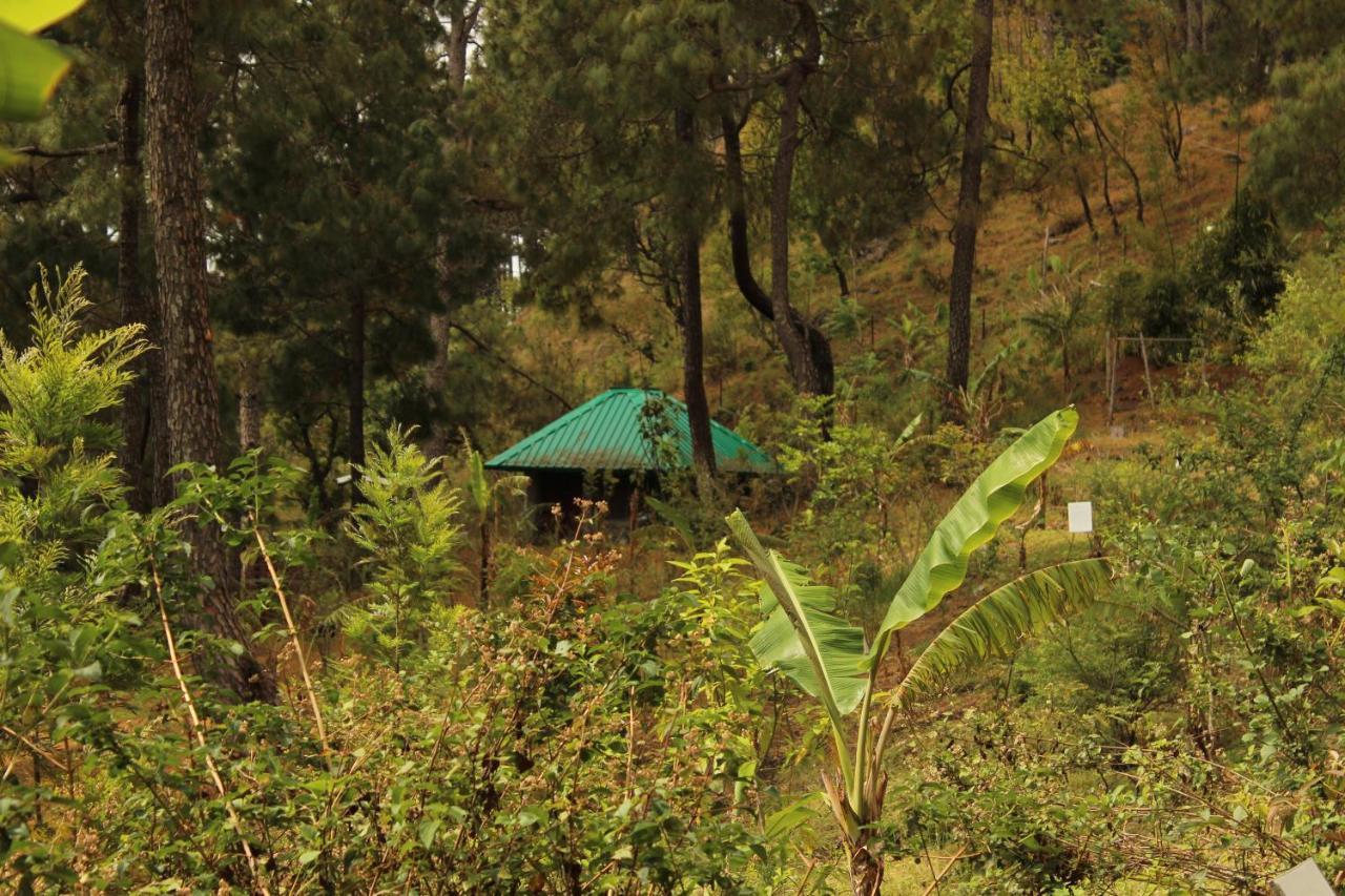 Heal Farm - Himalayan Eco Alternative Lifestyle For Agriculture Recreation And Meditation Nainital Dış mekan fotoğraf