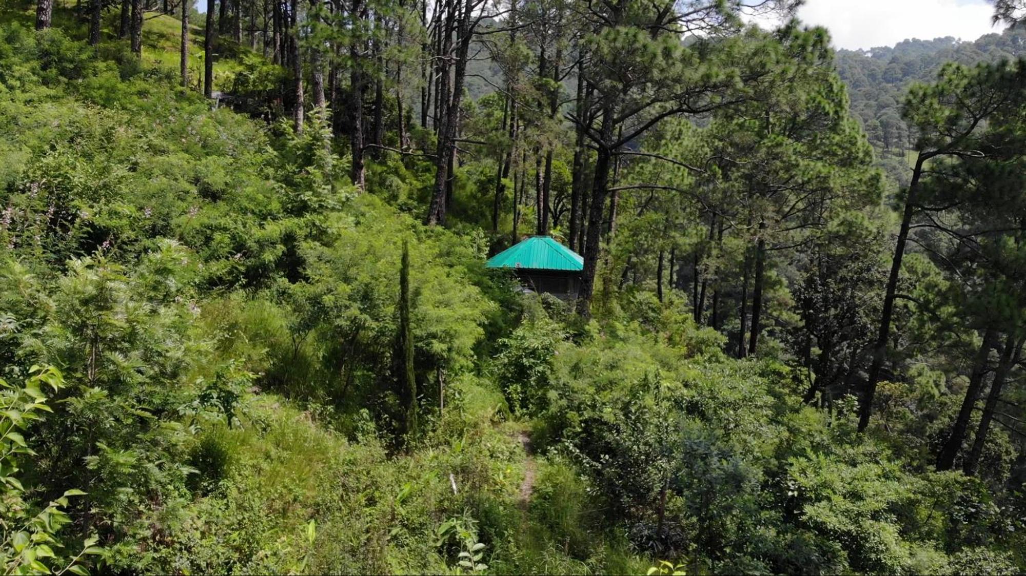 Heal Farm - Himalayan Eco Alternative Lifestyle For Agriculture Recreation And Meditation Nainital Dış mekan fotoğraf
