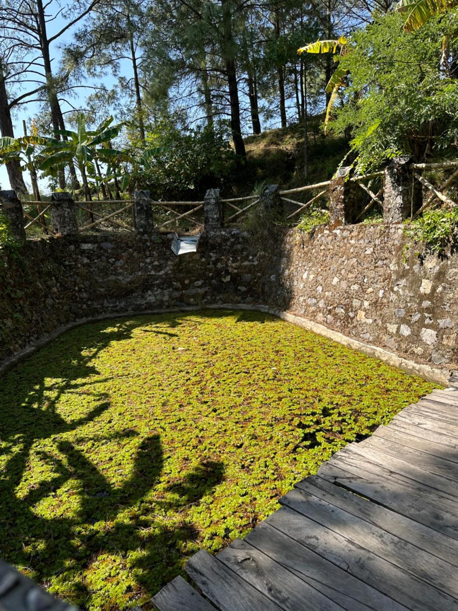 Heal Farm - Himalayan Eco Alternative Lifestyle For Agriculture Recreation And Meditation Nainital Dış mekan fotoğraf